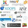 Создание сайта на базе CMS по выбору (Webasyst, Wordpress, Joomla и др.)